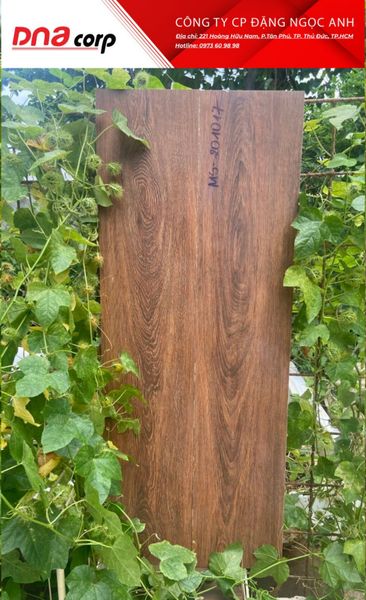  Gạch vân gỗ 20*100 MS-201017 