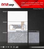  Gạch TTC WB36095 - DB36095 - WB36096 
