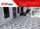  Gạch lót sân 6539 
