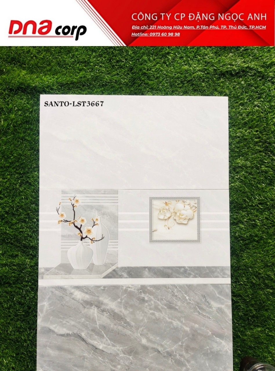  Gạch ốp Tường LST3667 