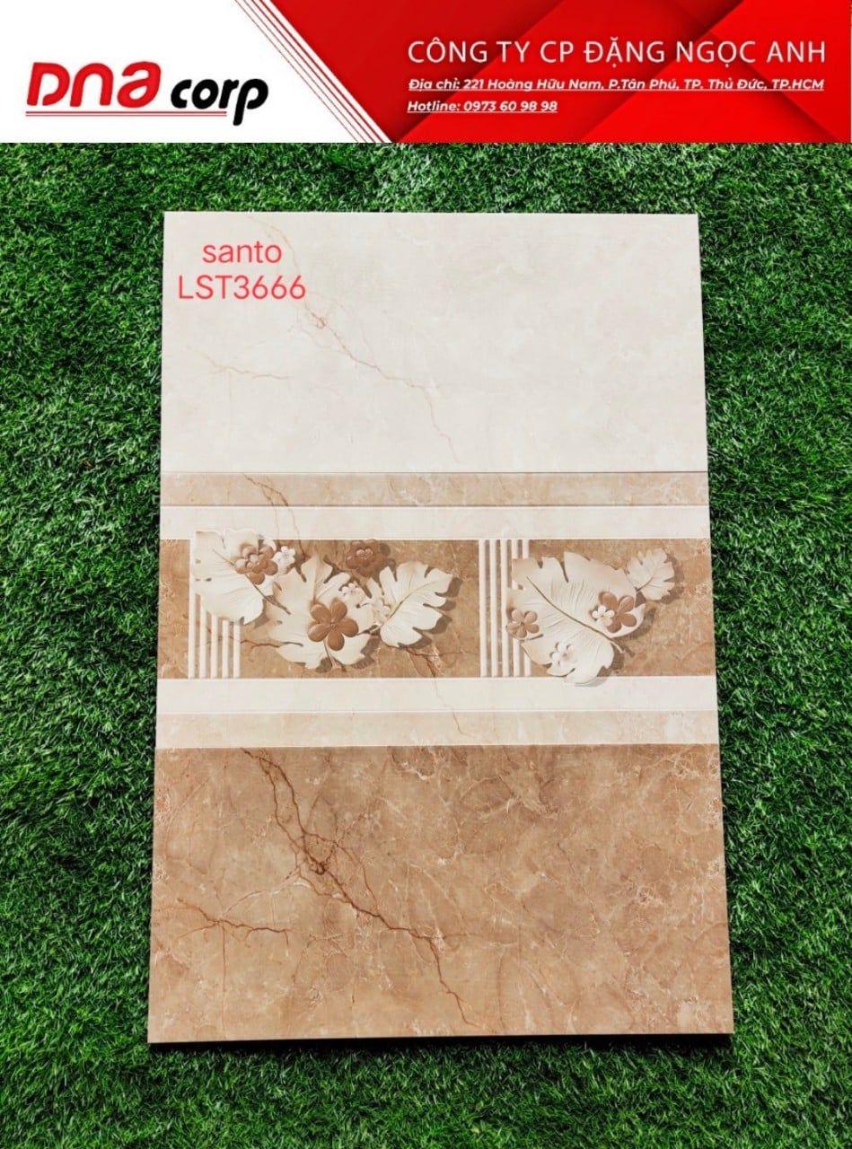  Gạch ốp Tường LST3666 
