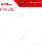  PP8805 