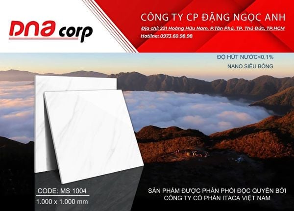  Gạch lát nền 1004 