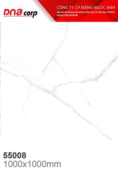  Gạch lát nền nhà 100*100 Ấn Độ 52008 