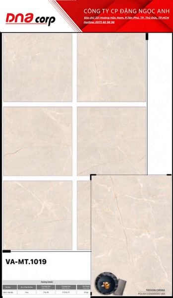  Gạch lát nền nhà Ấn Độ 100*100 MT1019 