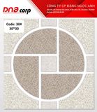  Gạch lát nền nhà 30*30 TTP 304 