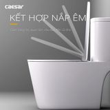  Bàn cầu một khối CD1364 