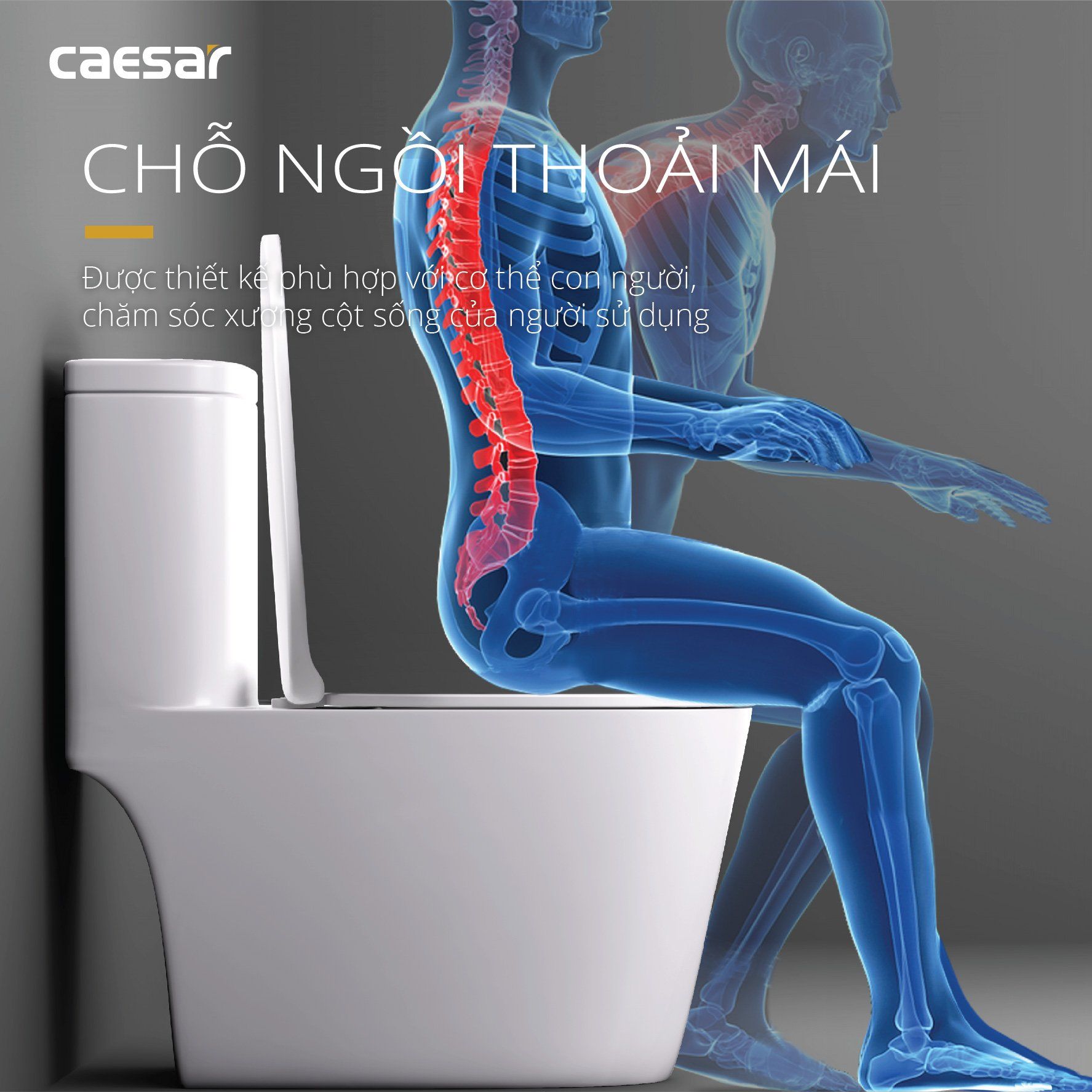  Bàn cầu một khối CD1364 
