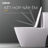  Bàn cầu một khối CD1363 