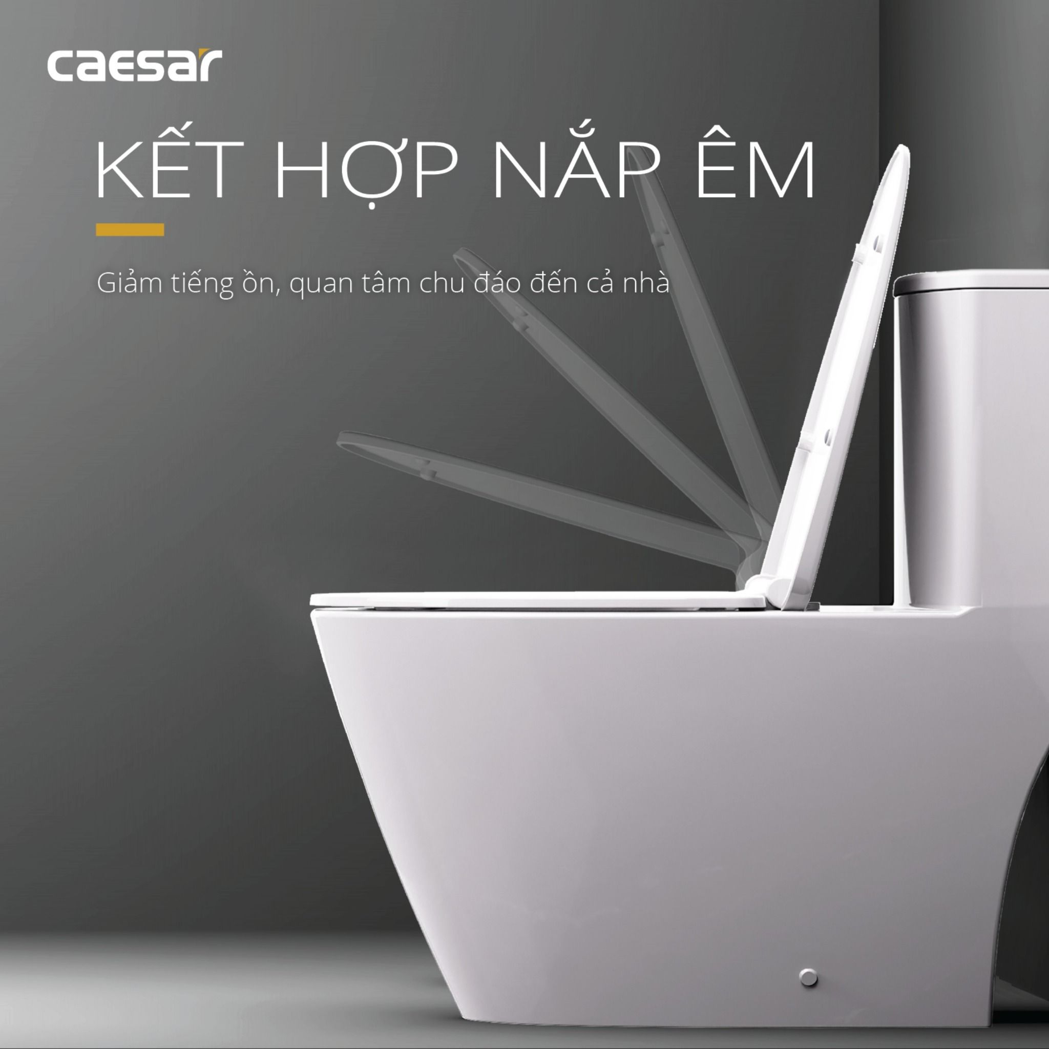  Bàn cầu một khối CD1363 