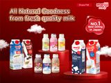 Sữa tươi thanh trùng Meiji cao cấp 4.3% béo 946ml - Thùng 12 hộp