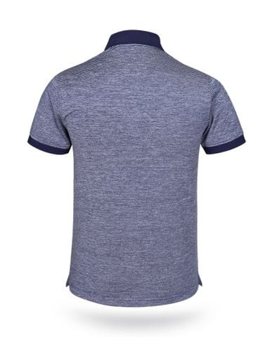 Áo thun nam polo kẻ sọc A2MN398R2-VNSC041-2410-N
