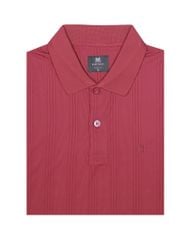 Áo thun Polo nam kẻ sọc A2MN398R2-VNSC047-2412-N
