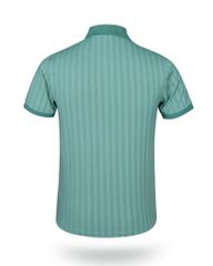 Áo thun nam polo kẻ sọc A2MN398R2-VNSC211-2411-N