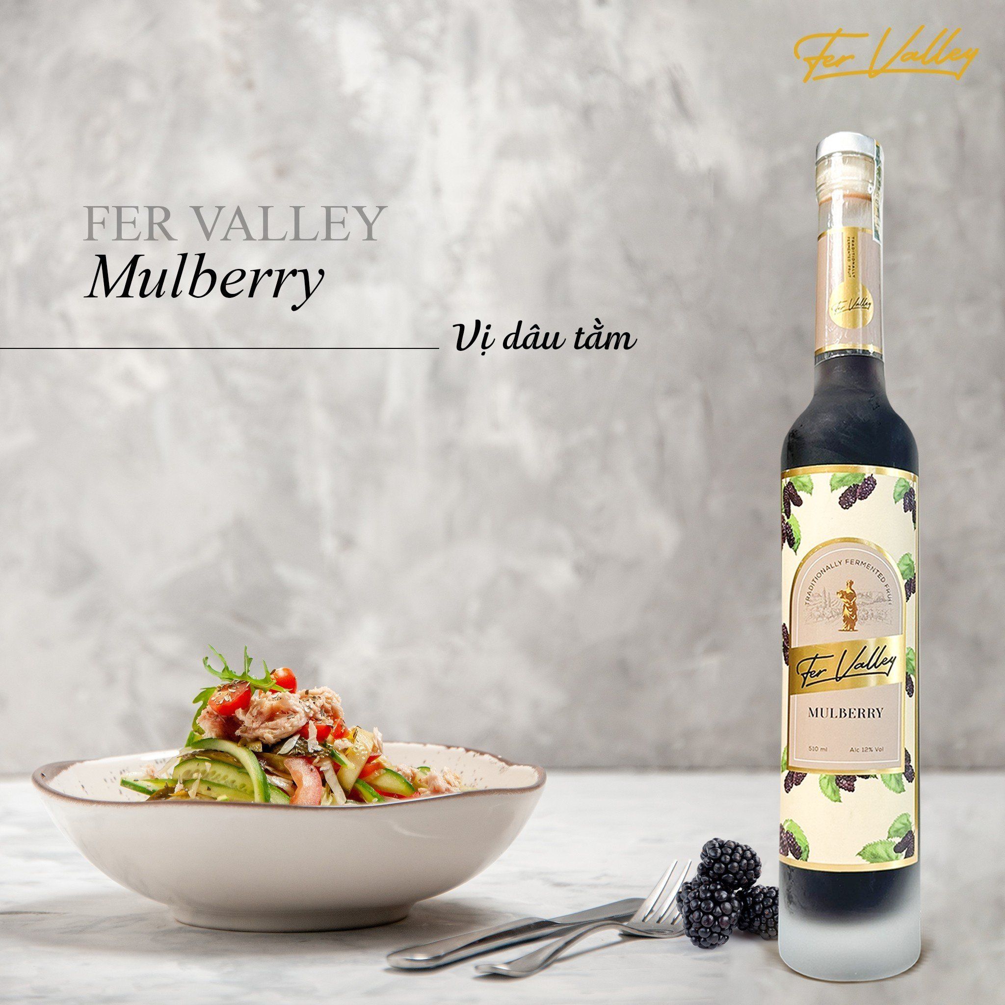  NƯỚC TRÁI CÂY LÊN MEN FER VALLEY 