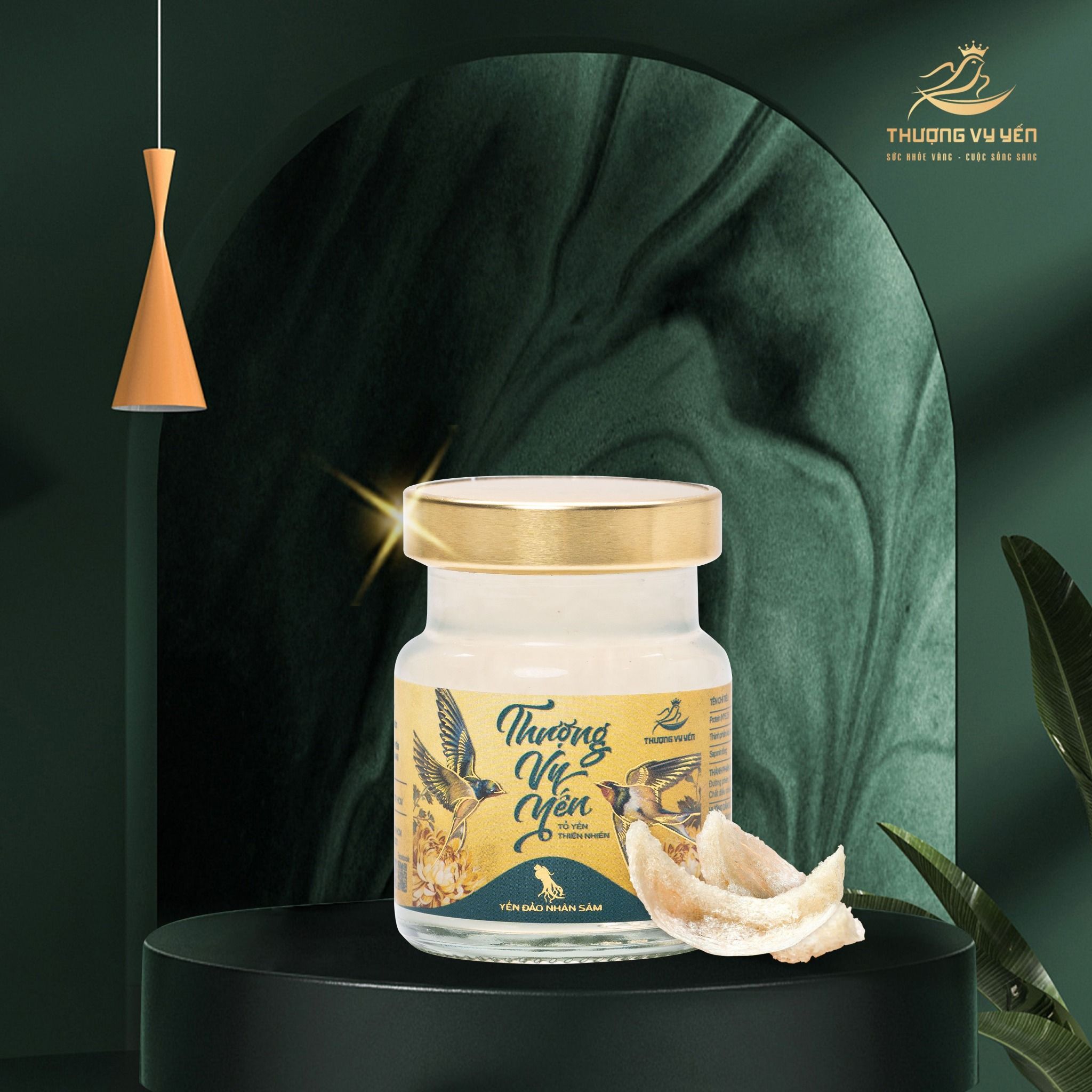 Set 12 Thượng Vy Yến Đảo