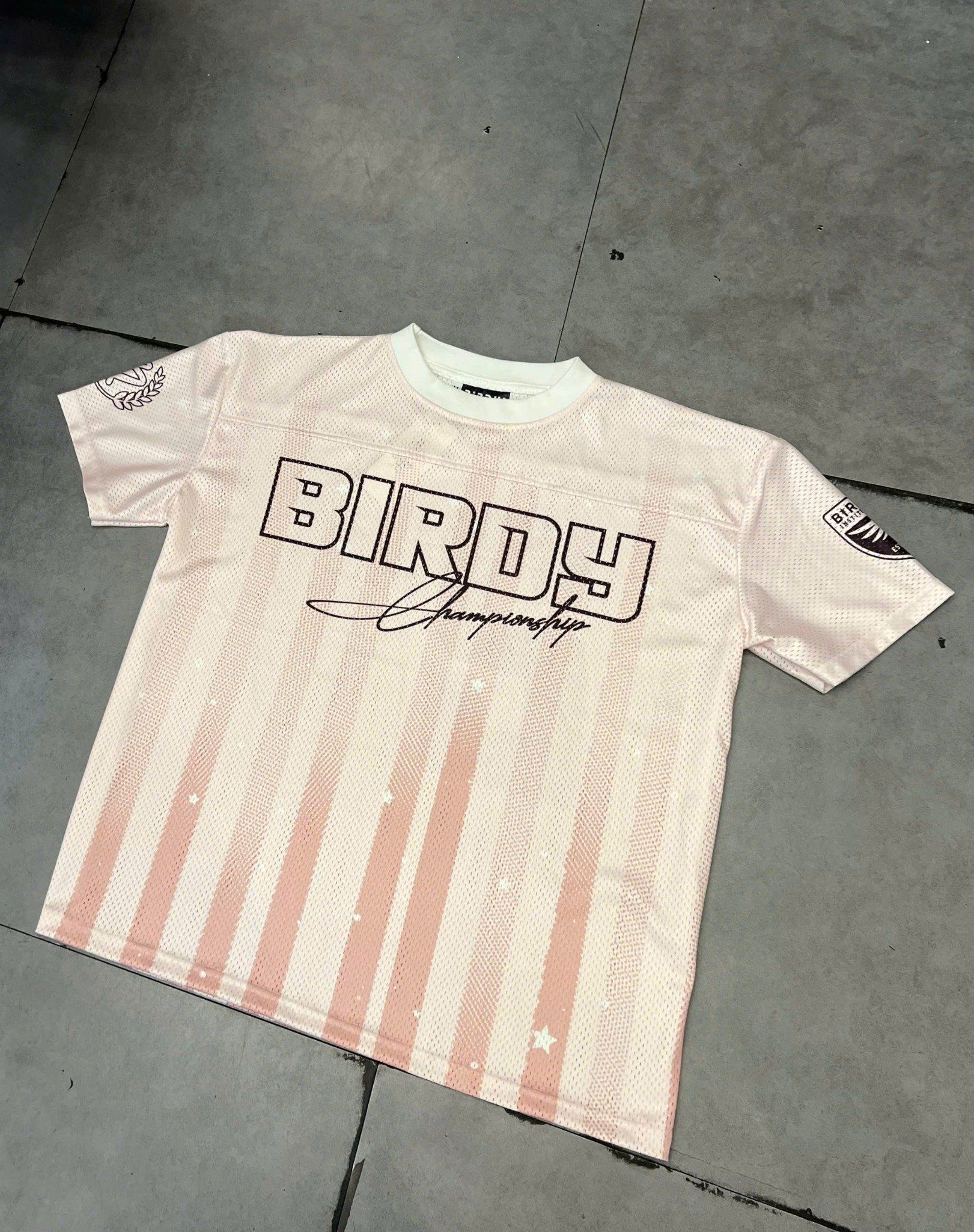  BIRDY JERSEY CHAMPION TEE/pink 
