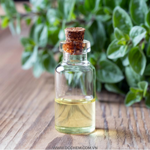  Hương thảo mộc thiên nhiên - Hương liệu Fragrances 