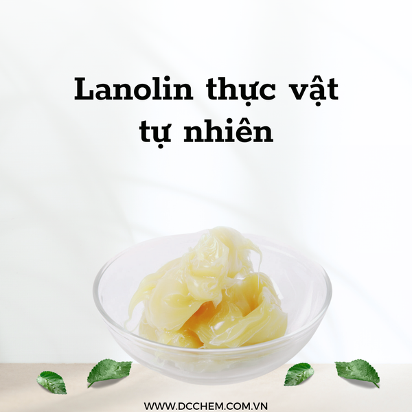  Lanolin thực vật tự nhiên 