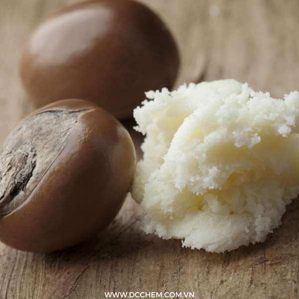  Dầu Bơ Đậu Mỡ-Dầu thực vật và Bơ tự nhiên 