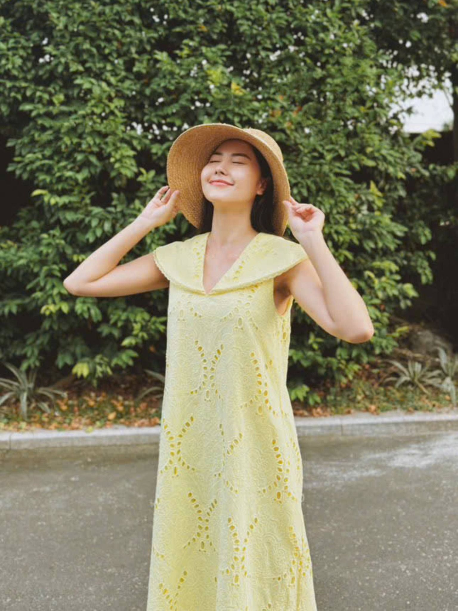  Đầm cotton thêu cổ lá sen Mauve Lotus leaf collar dress 