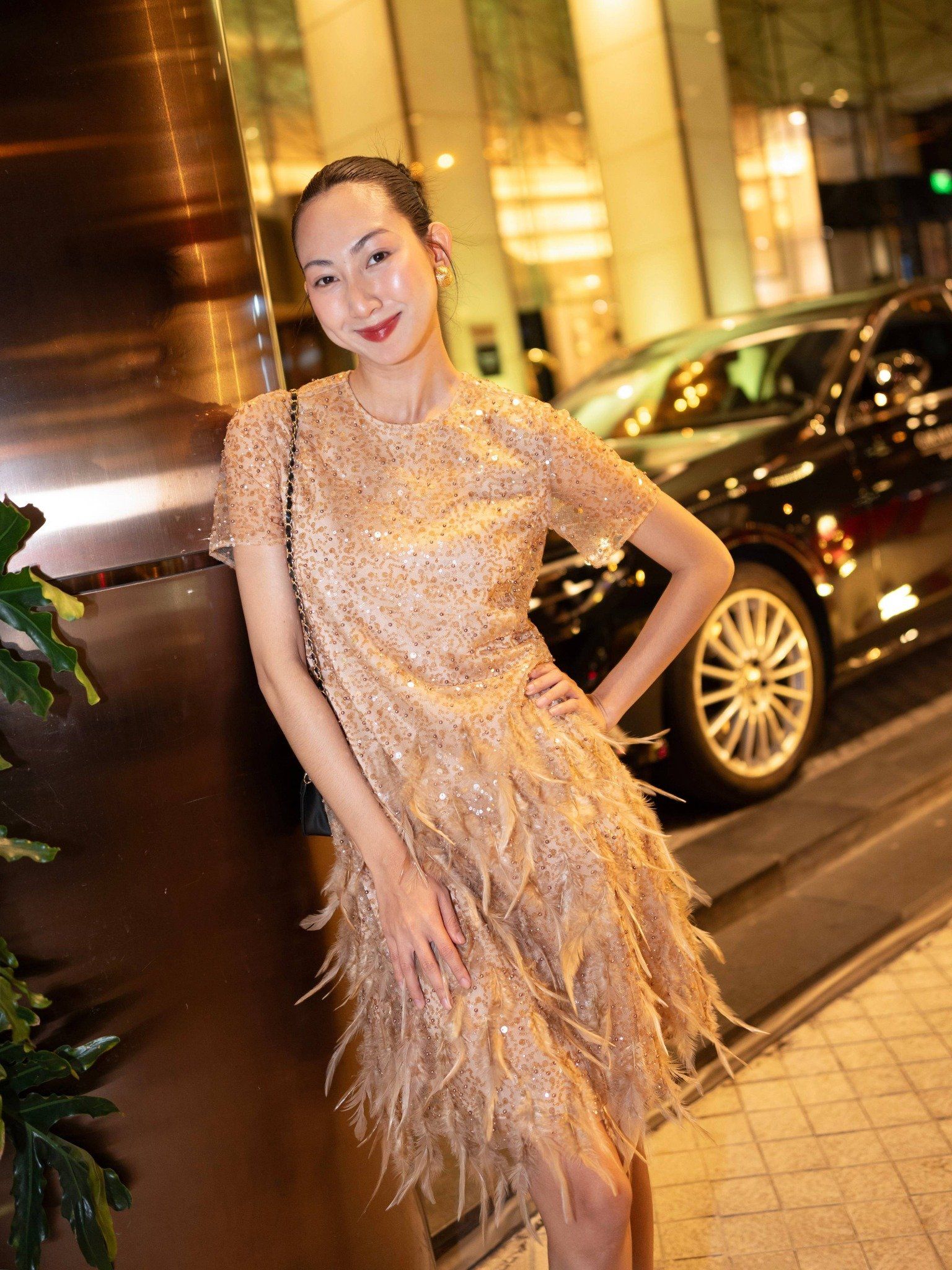  Đầm đính kết lông vũ và hạt | Mauve Mocha dress 