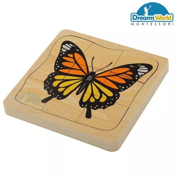  Giáo cụ Montessori -  Vòng đời của con bướm - Development of Butterfly 