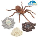  Giáo cụ Montessori - Mô hình vòng đời của nhện - Spider life cycle model 
