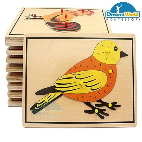  Combo 17 Tranh ghép sinh học Montessori  - Combo 17 Montessori Biology Puzzles 