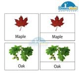  Giáo cụ Montessori - Thẻ 3 phần lá cây - Card 3 parts leaves 