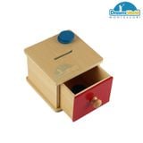  Giáo Cụ Montessori - Trò chơi thả các đồng tiền vào hộp có lỗ - Imbucare Box with Ball 