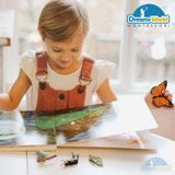  Giáo cụ Montessori - Mô hình vòng đời của bướm - Butterfly life cycle model 