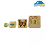  Giáo cụ Montessori -  Vòng đời của con bướm - Development of Butterfly 