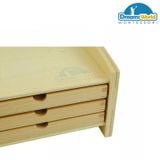  Giáo cụ Montessori - Tủ lá cây 3 ngăn - BOTANY LEAF CABINET WITH INSETS 