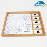  Giáo cụ Montessori - Bộ thẻ động vật - Animal Puzzle Activity Set-English 