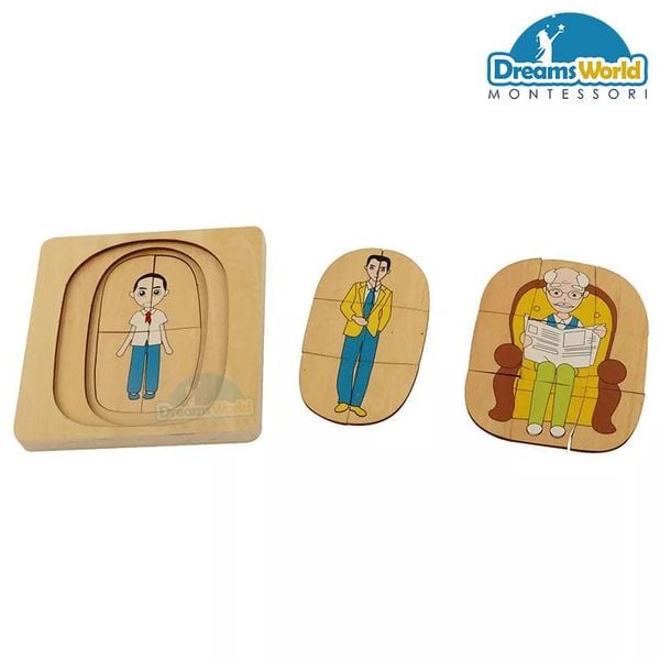  Giáo cụ Montessori - Vòng đời của con trai - Development of Man 