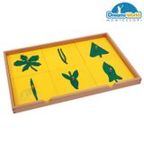  Giáo cụ Montessori - Tủ lá cây 4 ngăn - BOTANY LEAF CABINET WITH INSETS 