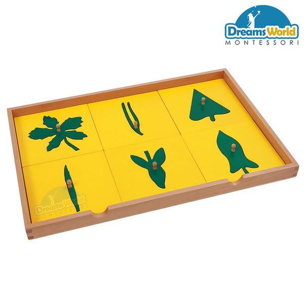  Giáo cụ Montessori - Tủ lá cây 4 ngăn - BOTANY LEAF CABINET WITH INSETS 