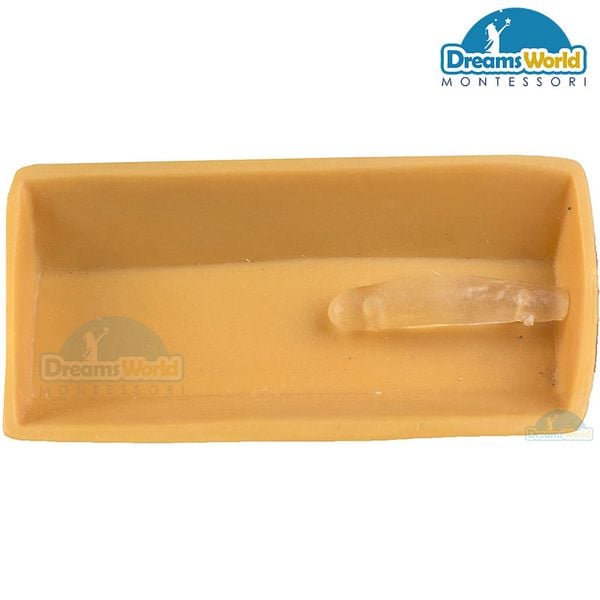  Giáo cụ Montessori - Mô hình vòng đời của ong - Model of the life cycle of bees 