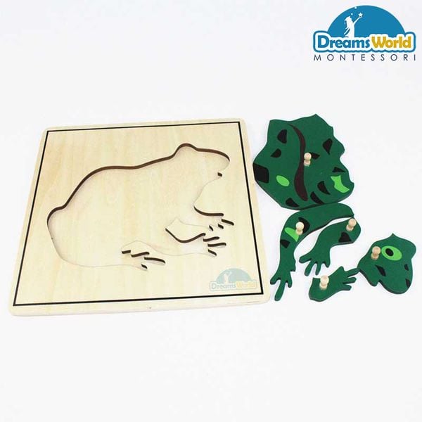  Giáo cụ Montessori - Tranh ghép sinh học hình con ếch - Frog puzzle 