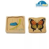  Giáo cụ Montessori -  Vòng đời của con bướm - Development of Butterfly 