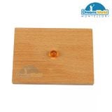  Giáo Cụ Montessori - Giới thiệu về số lượng thập phân với khay - Introduction to Decimal Quantity with Trays 