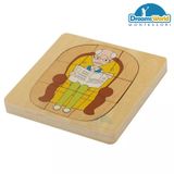  Giáo cụ Montessori - Vòng đời của con trai - Development of Man 