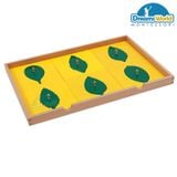  Giáo cụ Montessori - Tủ lá cây 4 ngăn - BOTANY LEAF CABINET WITH INSETS 