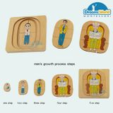  Giáo cụ Montessori - Vòng đời của con trai - Development of Man 