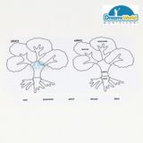  Giáo cụ Montessori - Bộ thẻ thực vật - Botany Puzzle Activity Set-English 