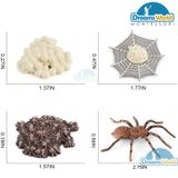  Giáo cụ Montessori - Mô hình vòng đời của nhện - Spider life cycle model 