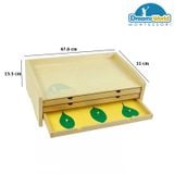  Giáo cụ Montessori - Tủ lá cây 3 ngăn - BOTANY LEAF CABINET WITH INSETS 