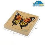  Giáo cụ Montessori -  Vòng đời của con bướm - Development of Butterfly 