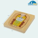  Giáo cụ Montessori - Vòng đời của con trai - Development of Man 